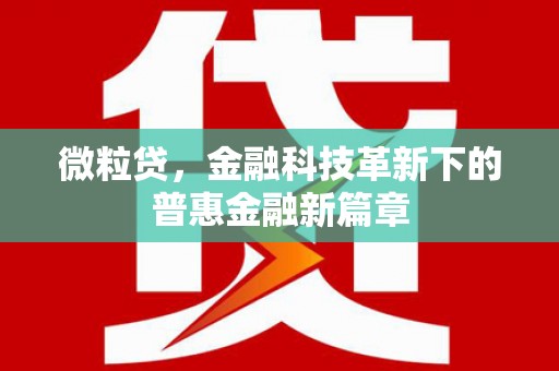 门源微粒贷，金融科技革新下的普惠金融新篇章
