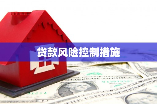 门源贷款风险控制措施