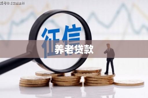 门源养老贷款