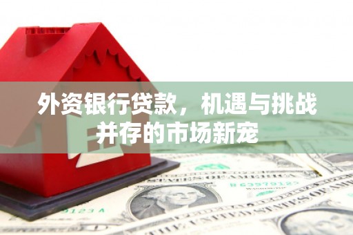门源外资银行贷款，机遇与挑战并存的市场新宠