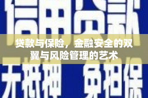 门源贷款与保险，金融安全的双翼与风险管理的艺术