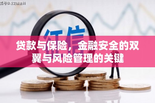 门源贷款与保险，金融安全的双翼与风险管理的关键