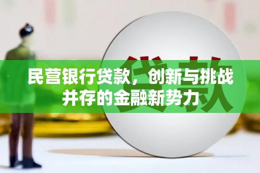门源民营银行贷款，创新与挑战并存的金融新势力