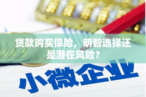 门源贷款购买保险，明智选择还是潜在风险？