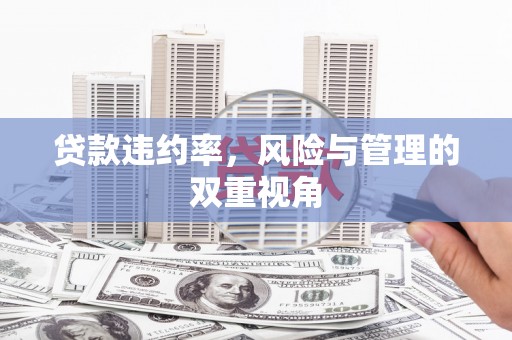 门源贷款违约率，风险与管理的双重视角