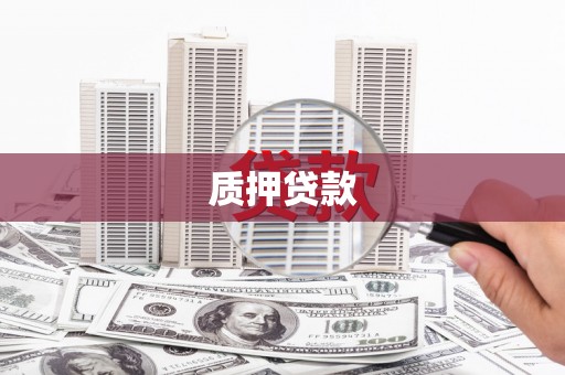 门源质押贷款