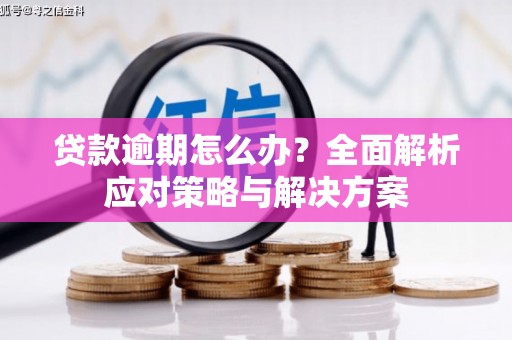 门源贷款逾期怎么办？全面解析应对策略与解决方案