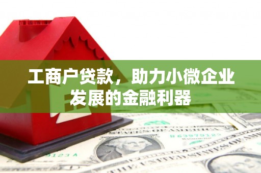 门源工商户贷款,助力小微企业发展的金融利器 门源工商户贷款,助力小微企业发展的金融利器