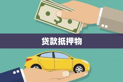 门源贷款抵押物
