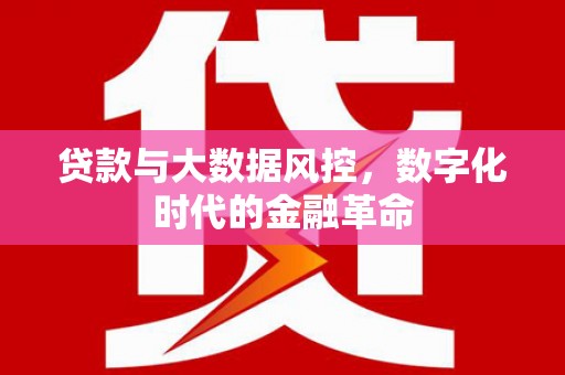 门源贷款与大数据风控，数字化时代的金融革命