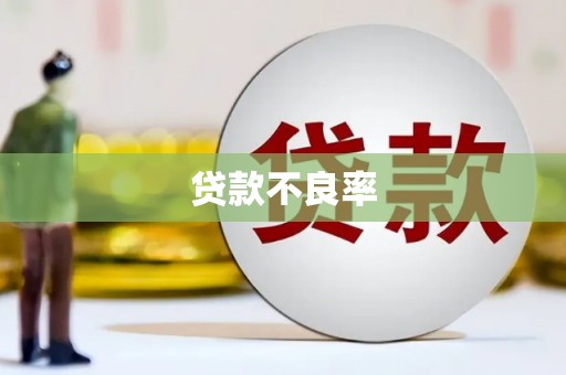 门源贷款不良率