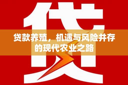 门源贷款养殖，机遇与风险并存的现代农业之路