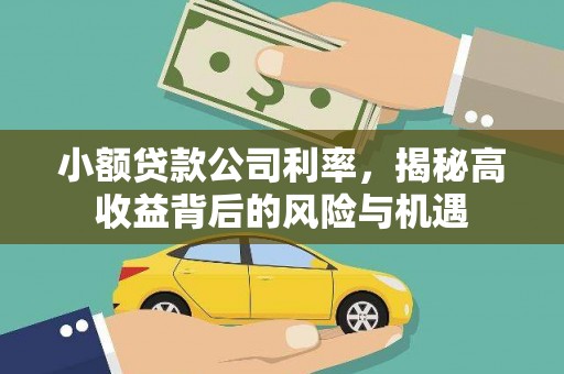 门源小额贷款公司利率，揭秘高收益背后的风险与机遇