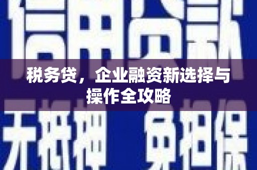 门源税务贷，企业融资新选择与操作全攻略