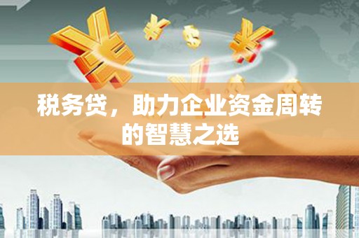 门源税务贷，助力企业资金周转的智慧之选