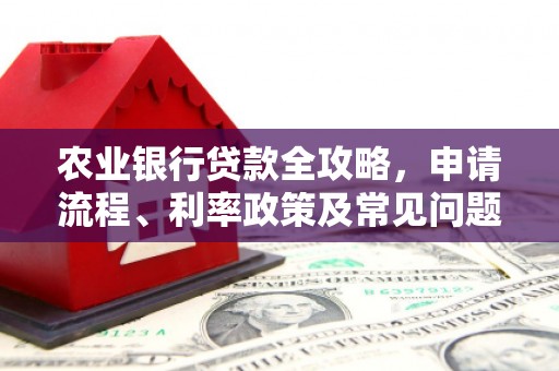 门源农业银行贷款全攻略，申请流程、利率政策及常见问题解析