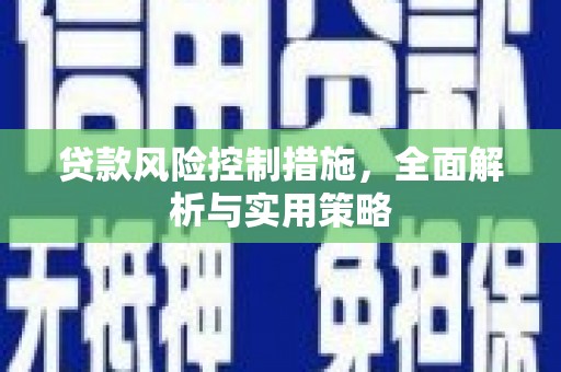 门源贷款风险控制措施，全面解析与实用策略