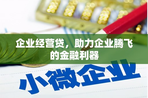 门源企业经营贷，助力企业腾飞的金融利器