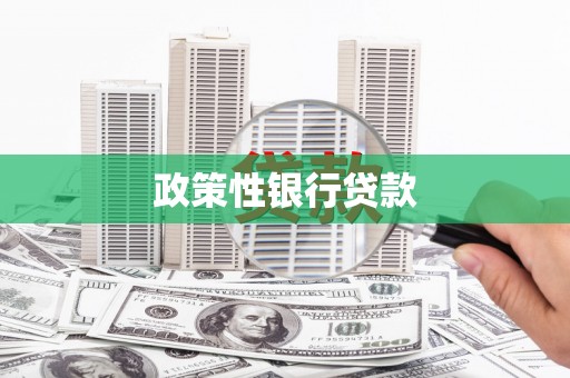 门源政策性银行贷款
