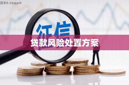 门源贷款风险处置方案