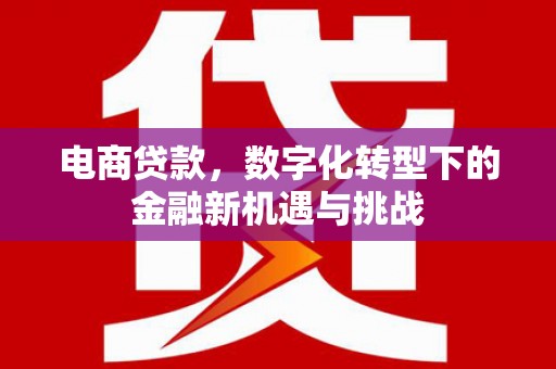 门源电商贷款，数字化转型下的金融新机遇与挑战