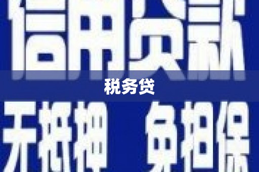 门源税务贷