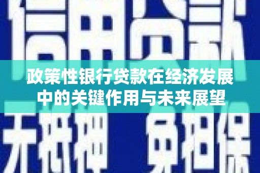 门源政策性银行贷款在经济发展中的关键作用与未来展望