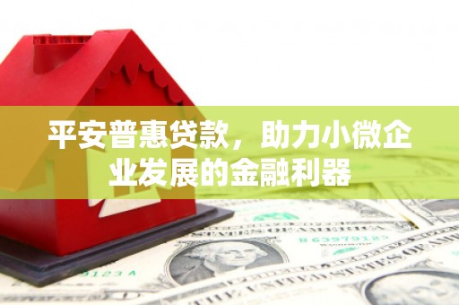 门源平安普惠贷款，助力小微企业发展的金融利器