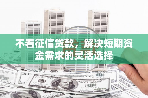 门源不看征信贷款，解决短期资金需求的灵活选择