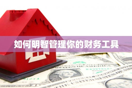 门源如何明智管理你的财务工具