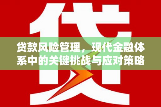 门源贷款风险管理，现代金融体系中的关键挑战与应对策略