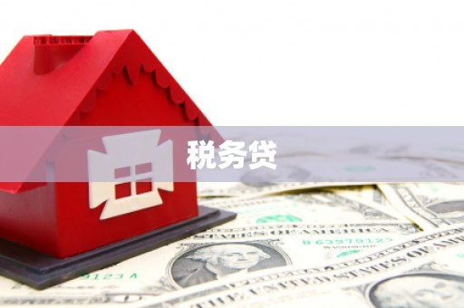 门源税务贷