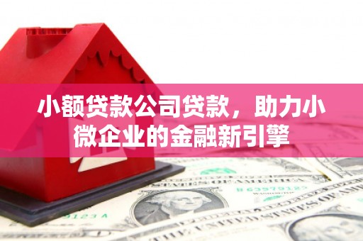 门源小额贷款公司贷款，助力小微企业的金融新引擎