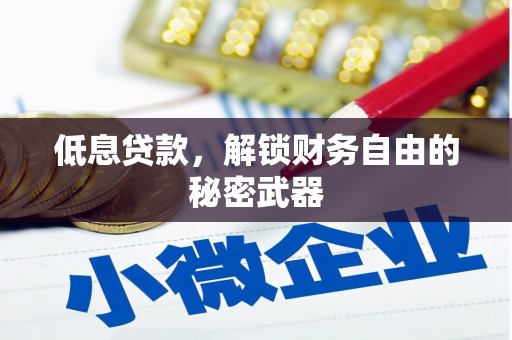门源低息贷款，解锁财务自由的秘密武器