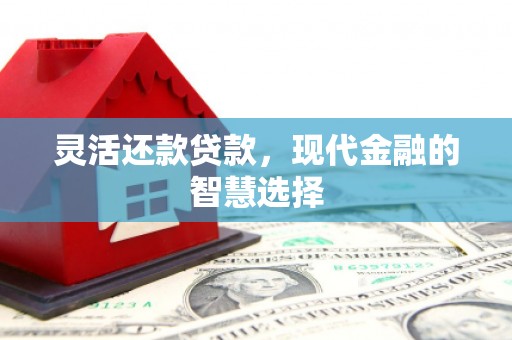 门源灵活还款贷款，现代金融的智慧选择