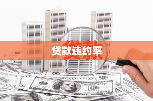 门源贷款违约率