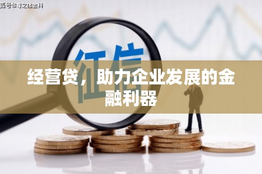 门源经营贷，助力企业发展的金融利器