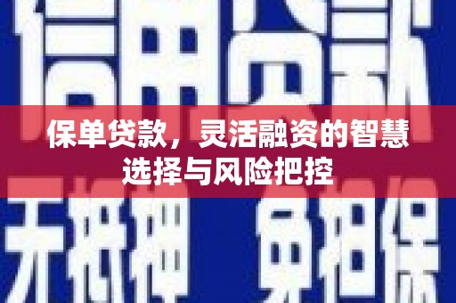 门源保单贷款，灵活融资的智慧选择与风险把控