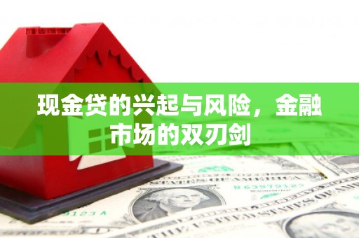 门源现金贷的兴起与风险，金融市场的双刃剑