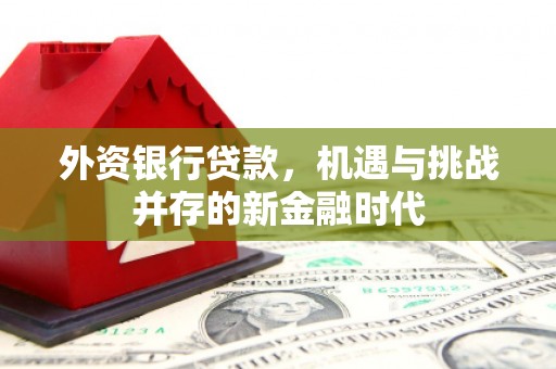 门源外资银行贷款，机遇与挑战并存的新金融时代