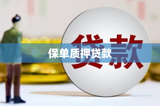 门源保单质押贷款