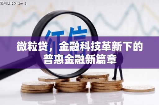 门源微粒贷，金融科技革新下的普惠金融新篇章