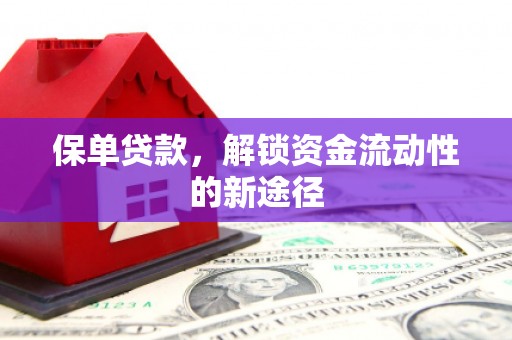 门源保单贷款，解锁资金流动性的新途径