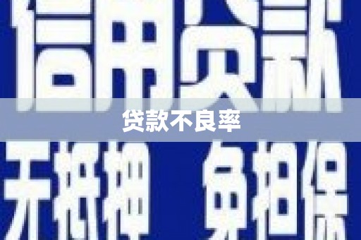 门源贷款不良率