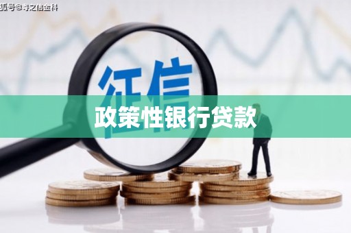 门源政策性银行贷款