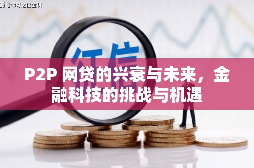 门源P2P 网贷的兴衰与未来，金融科技的挑战与机遇