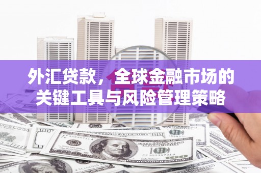 门源外汇贷款，全球金融市场的关键工具与风险管理策略
