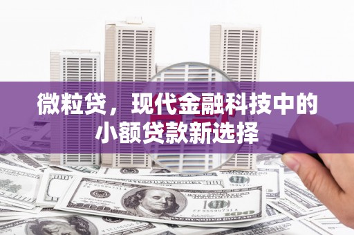 门源微粒贷，现代金融科技中的小额贷款新选择