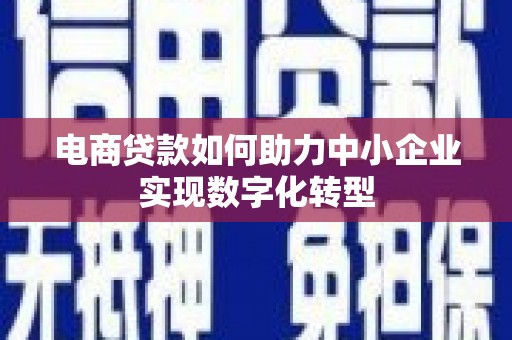 门源电商贷款如何助力中小企业实现数字化转型