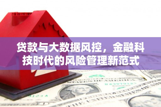 门源贷款与大数据风控，金融科技时代的风险管理新范式